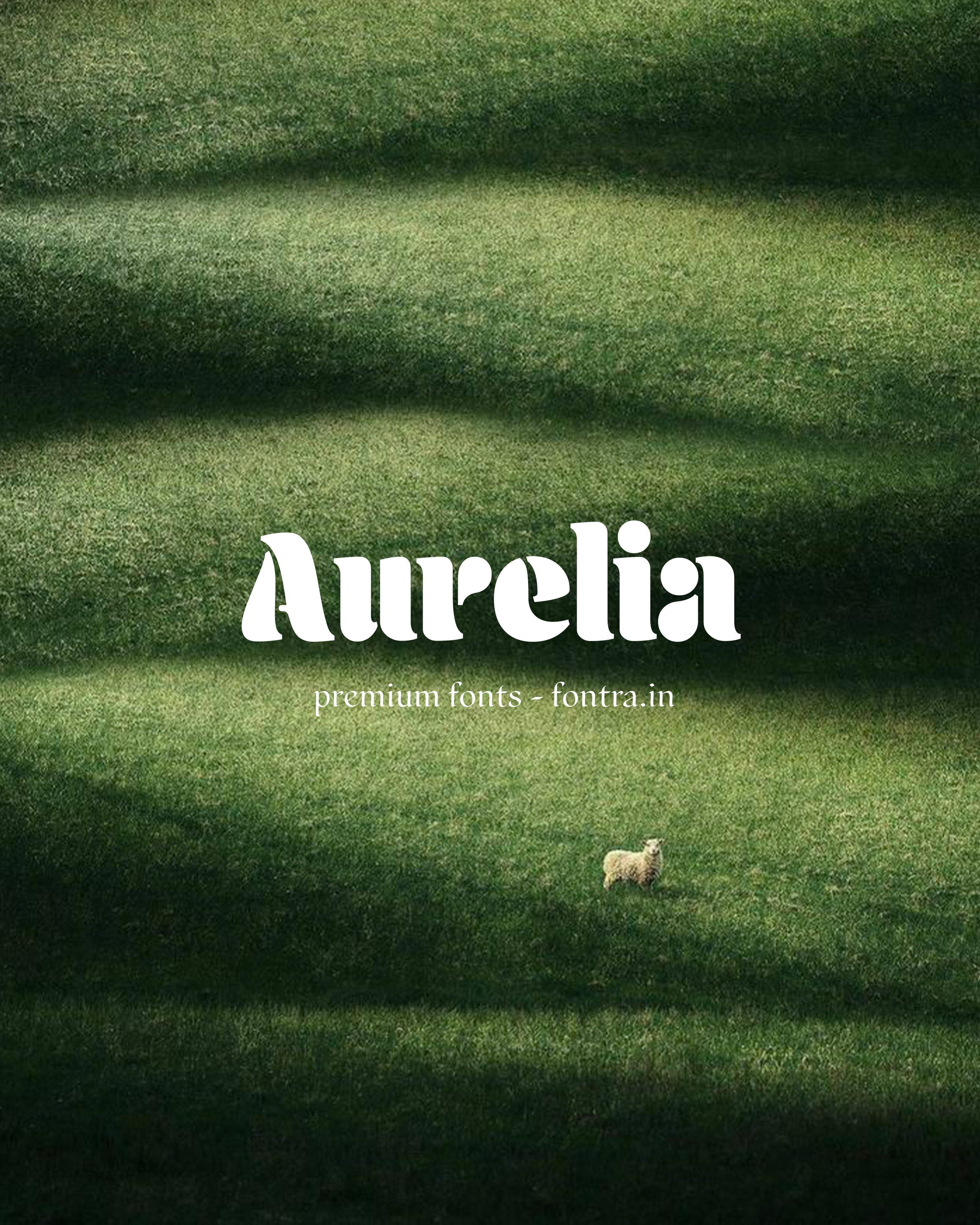 50 LUXURIOUS FONTS FOR SALE PRESET GALLERY