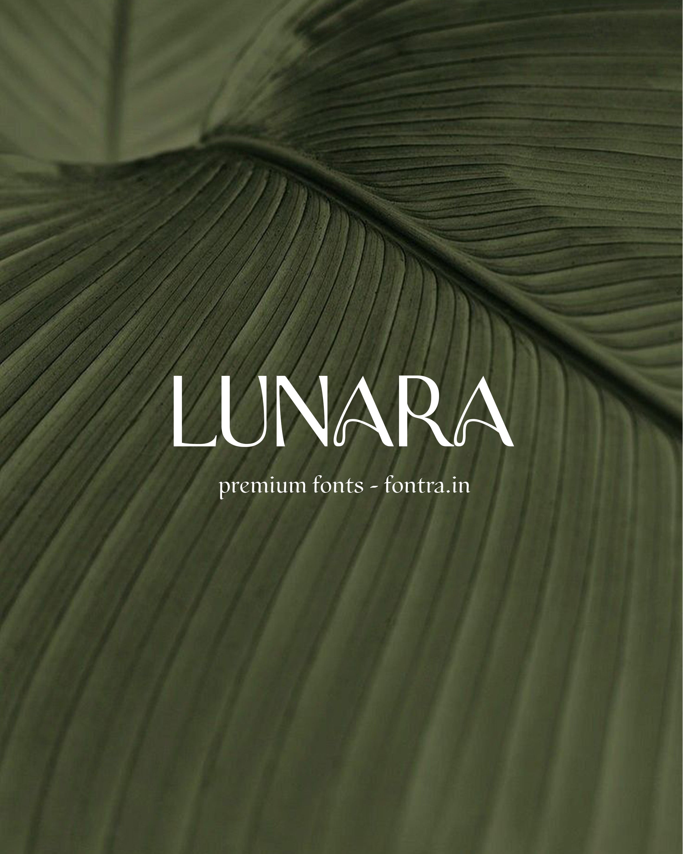 50 LUXURIOUS FONTS FOR SALE PRESET GALLERY
