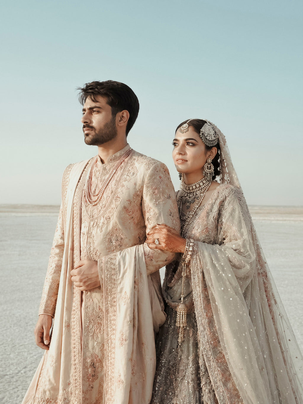 Flagship selected Indian Wedding Preset PRESET GALLERY