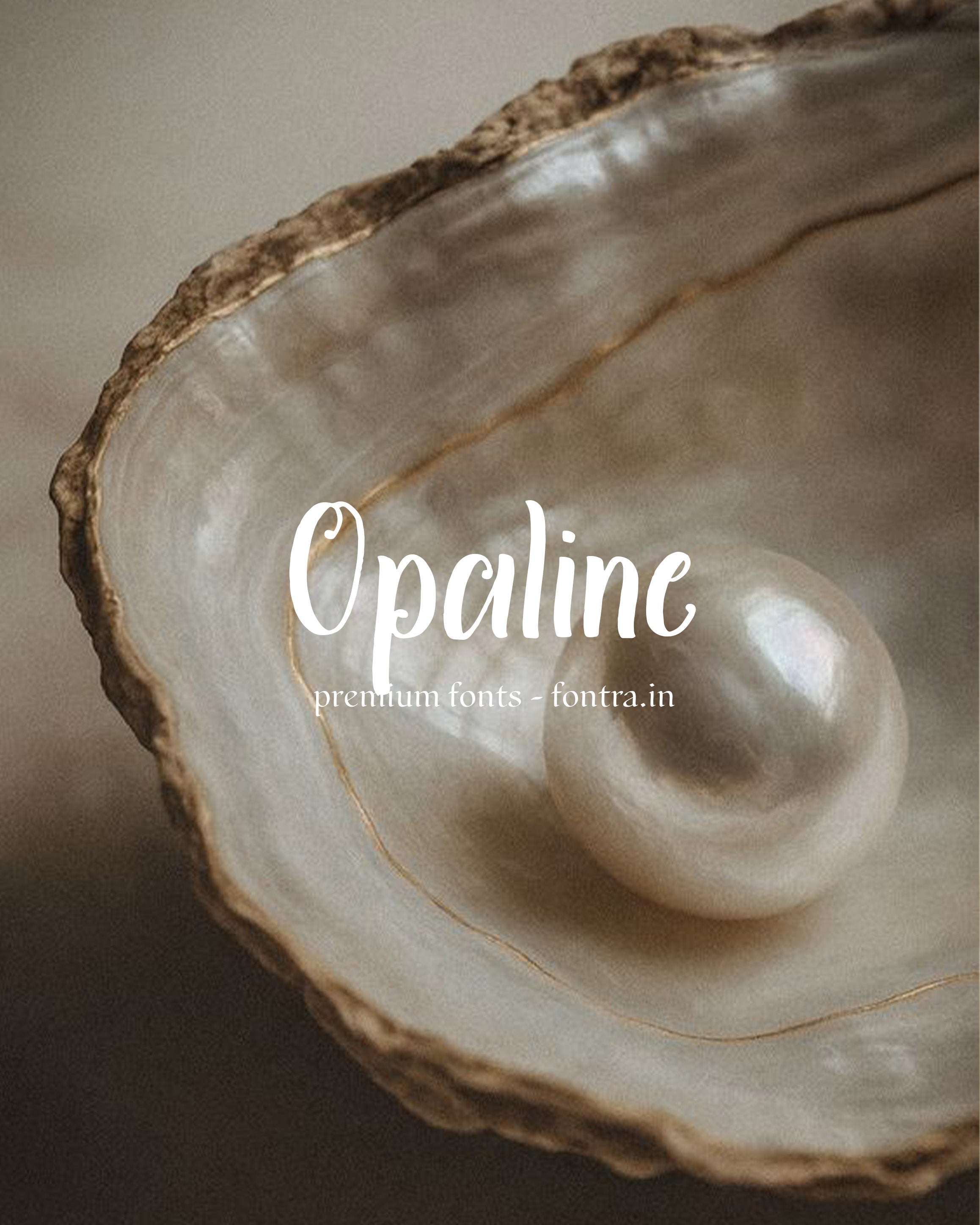 50 LUXURIOUS FONTS FOR SALE PRESET GALLERY