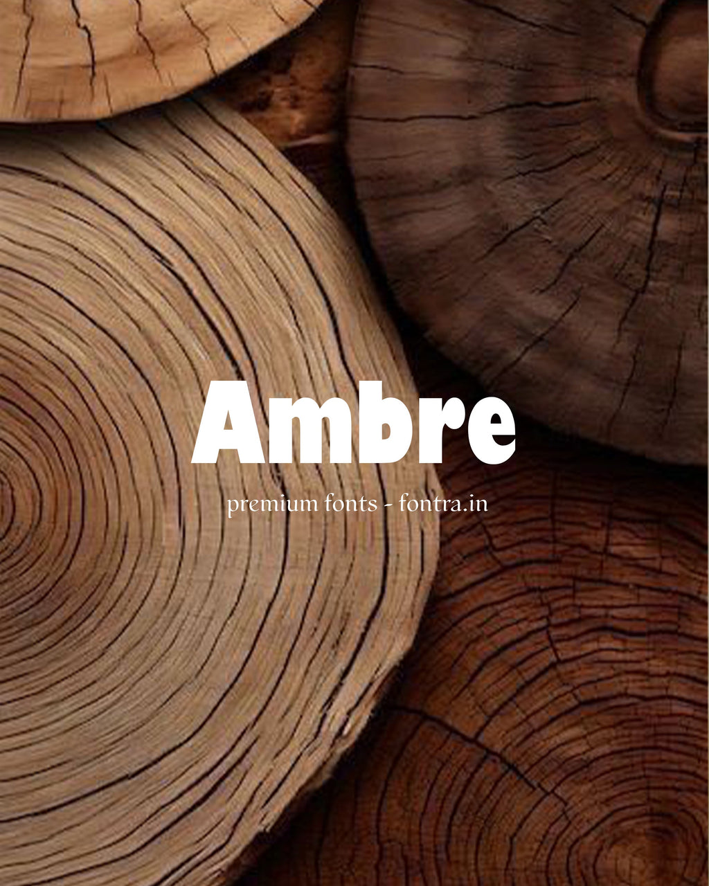 50 LUXURIOUS FONTS FOR SALE PRESET GALLERY