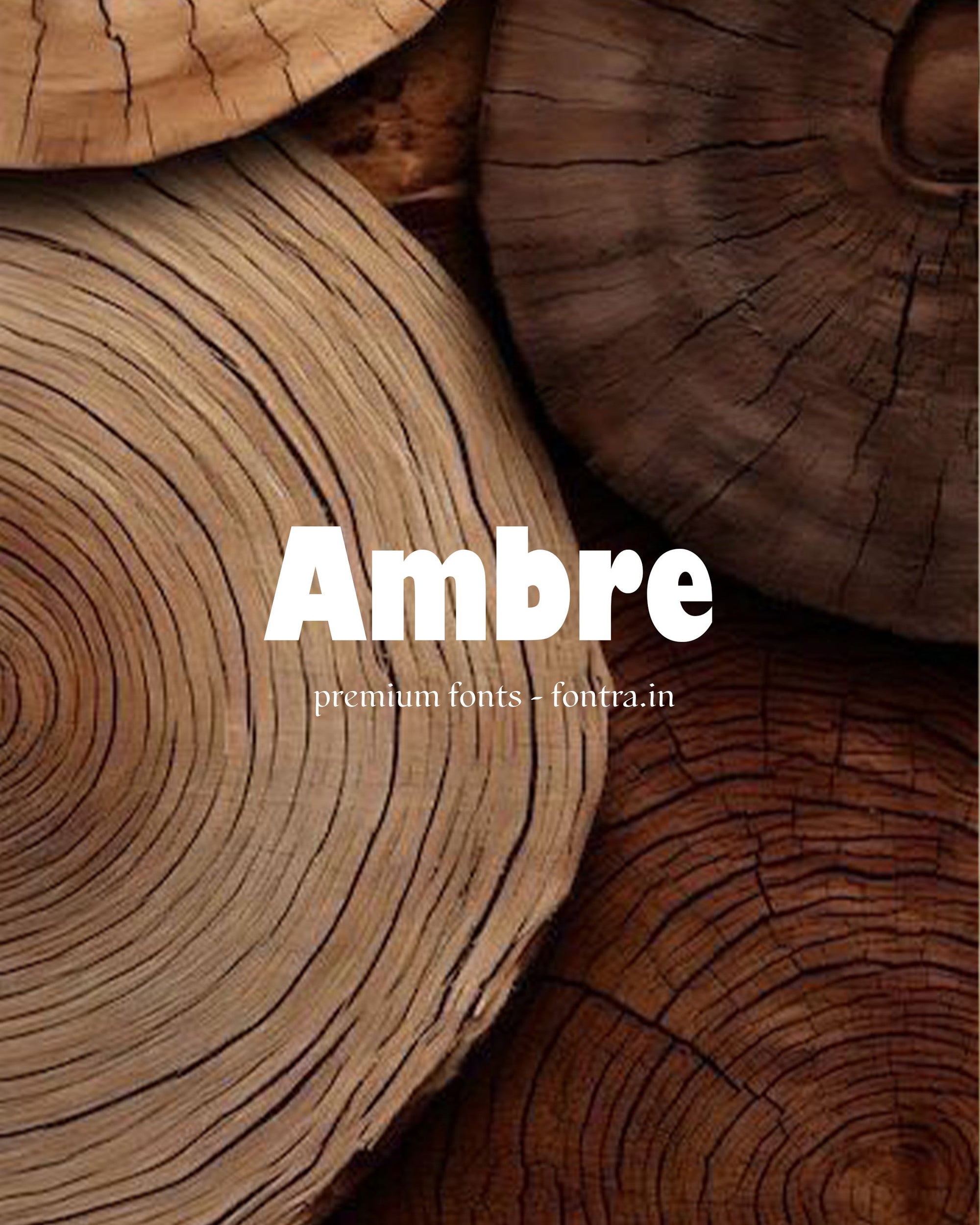 50 LUXURIOUS FONTS FOR SALE PRESET GALLERY