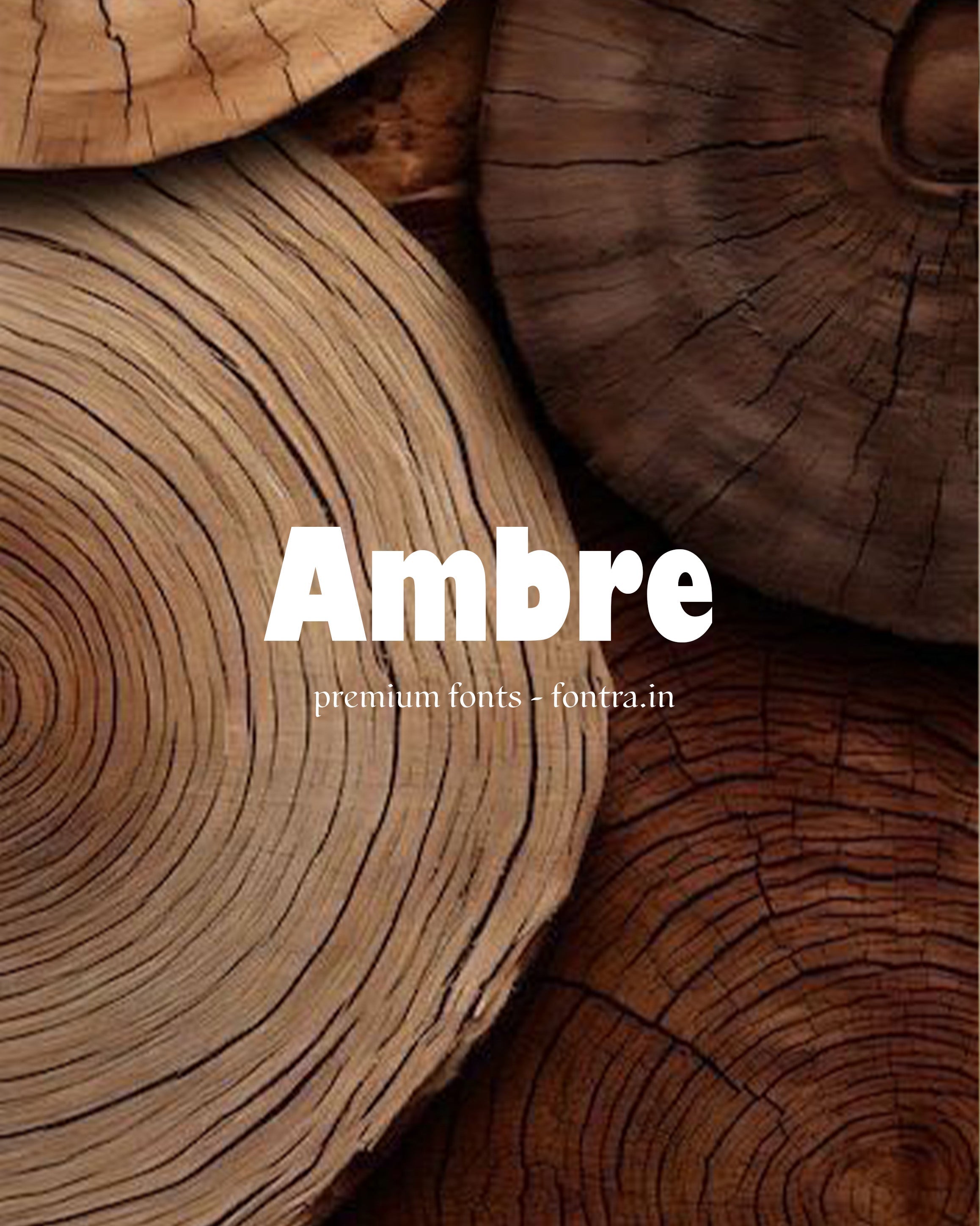 50 LUXURIOUS FONTS FOR SALE PRESET GALLERY