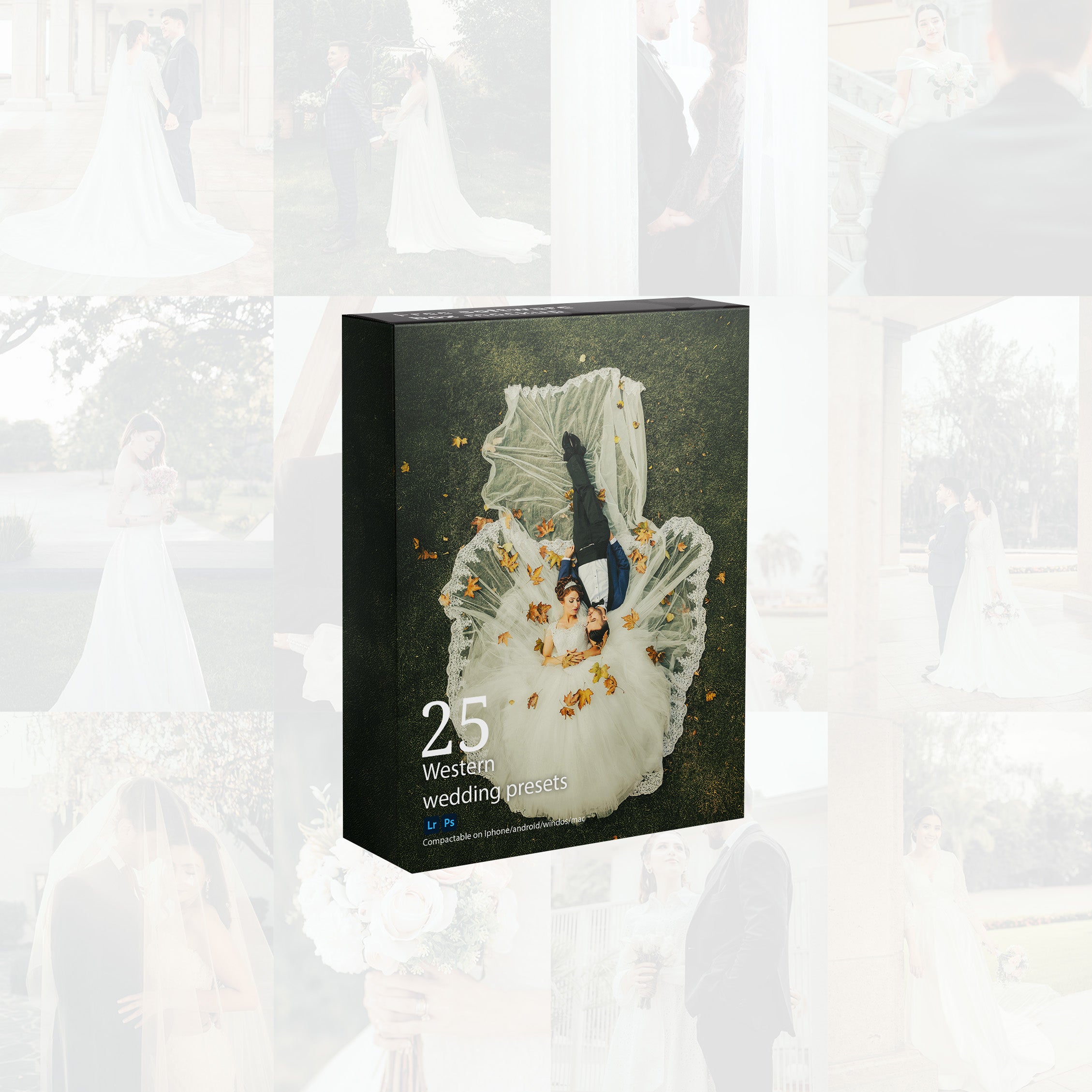 25 WESTERN STYLE PREMIUM PRESETS