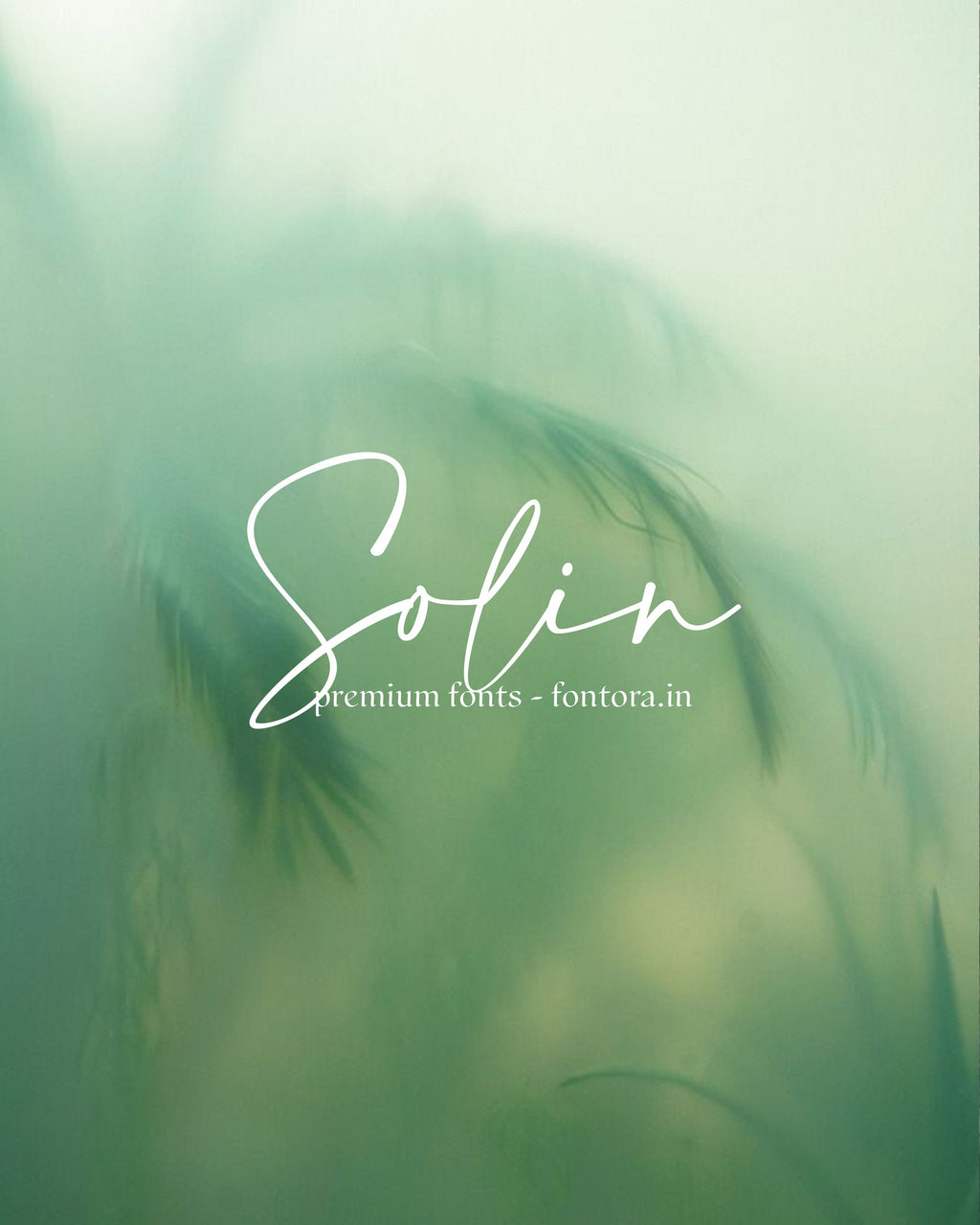 50 LUXURIOUS FONTS FOR SALE PRESET GALLERY
