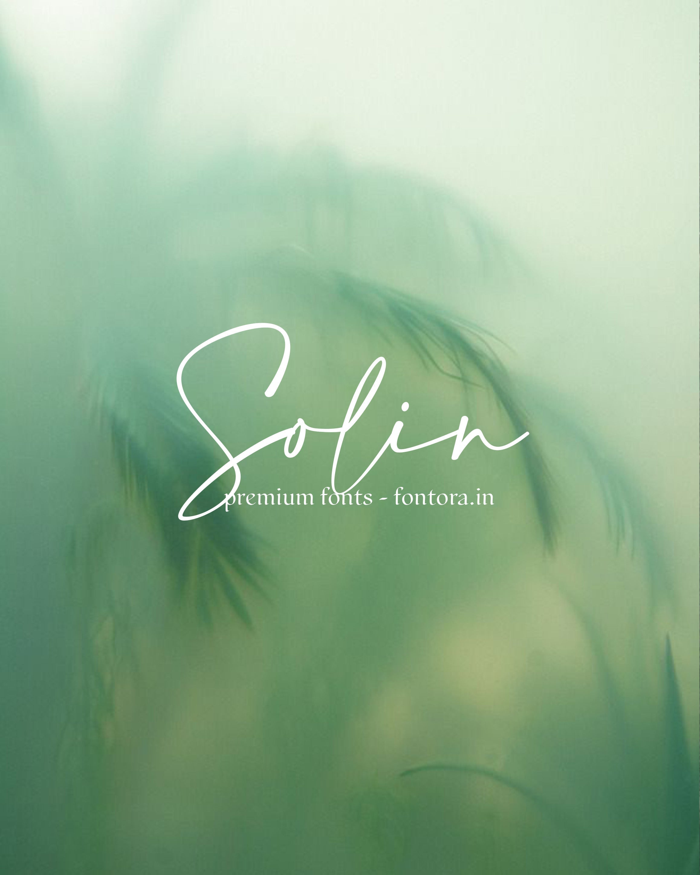 50 LUXURIOUS FONTS FOR SALE PRESET GALLERY