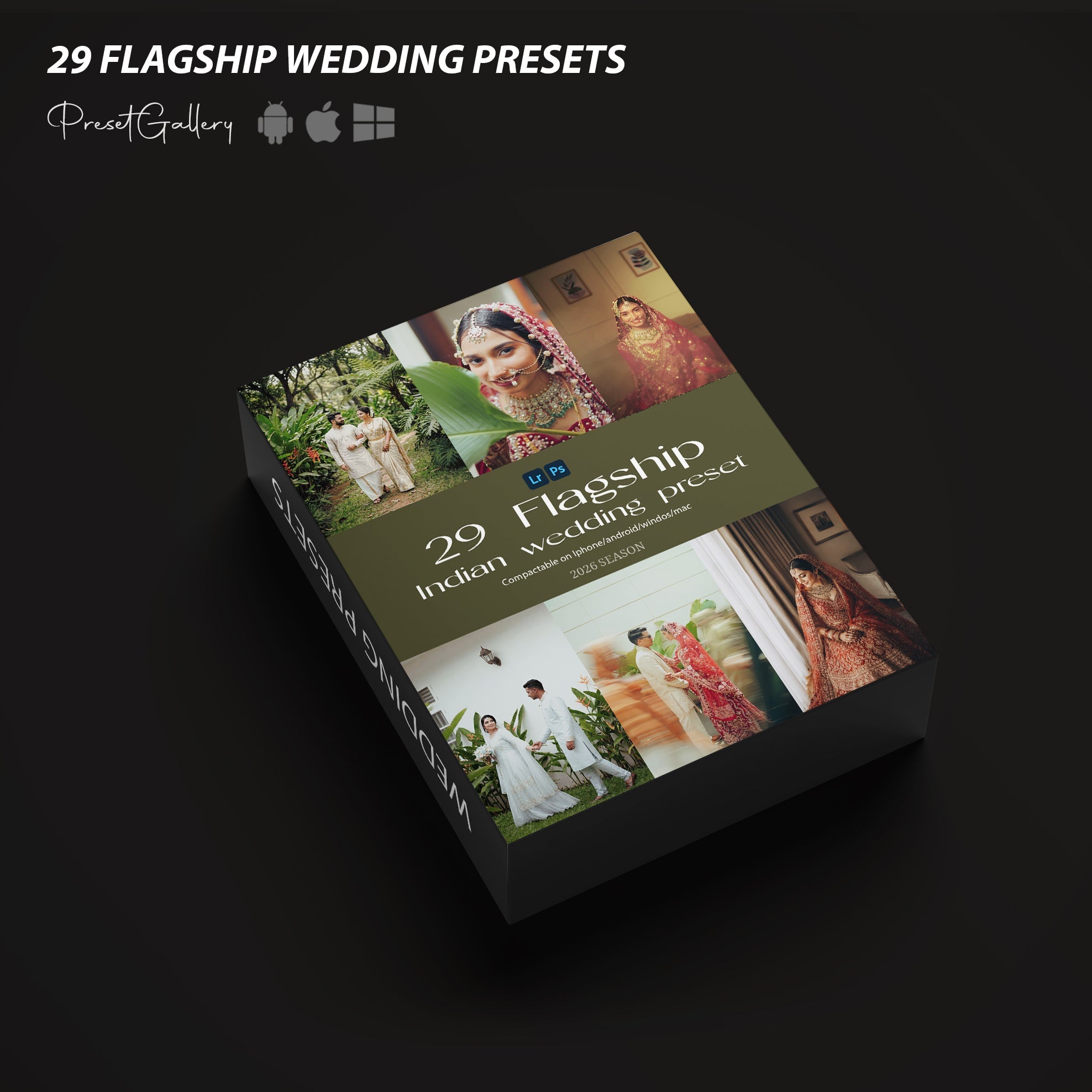Flagship selected Indian Wedding Preset PRESET GALLERY